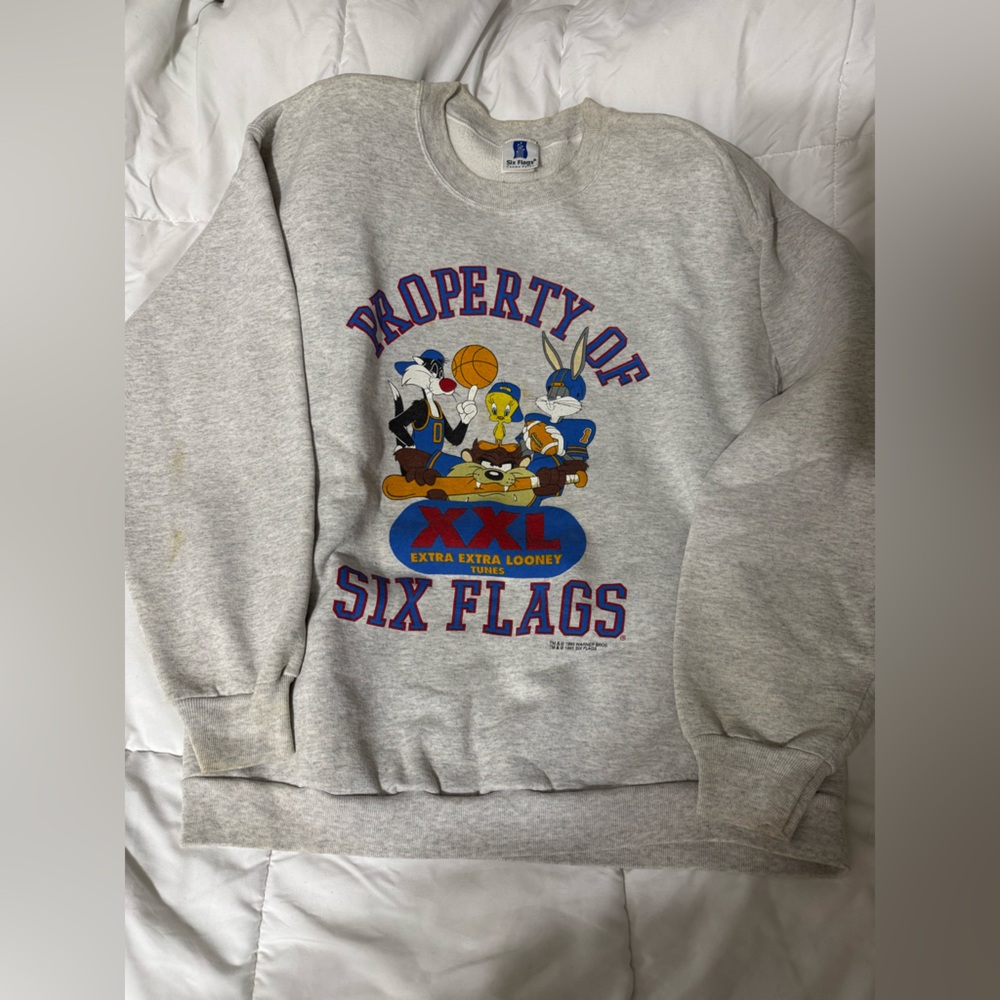 Vintage Six Flags Looney Tunes Gray Sweatshirt